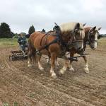 What’s Happening at the Market: Teamwork, organic vision at Sequim’s Joy Farm