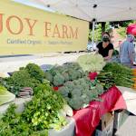 Elli Rose of Joy Farm readies produce for customers at the Sequim Farmers & Artisans Market. Photo by Emma Jane Garcia