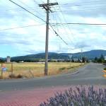 Sequim city councilors agreed in late July to extend a moratorium for six months on manufactured home developments so city staff and the planning commission could better analyze the Sequim Municipal Codes language on private streets. Discussions about private streets in manufactured home developments came up late last year during the binding site plan application for Lavender Meadows, a 217-site manufactured home park at the intersection of North Sequim Avenue and Port Williams Road. It was approved earlier this year. Sequim Gazette photo by Matthew Nash