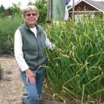 Local Master Gardener Pam Larsen presents Growing Great Organic Garlic on Aug. 13, live-streaming with the Zoom platform. Submitted photo