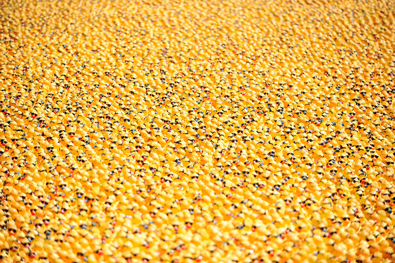 Lucky duck: Sequim man wins car in annual derby