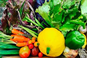 North Olympic Land Trust picks CSA farm share for 22nd Farmer of the Year