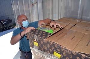 Andrew Zeppa, warehouse manager for the Sequim Food Bank, looks inside one of hundreds of food boxes ready for Wednesday distribution at Trinity United Methodist Church as part of the COVID-19 Food Relief program. Sequim Gazette photo by Matthew Nash                                Andrew Zeppa, warehouse manager for the Sequim Food Bank, looks inside one of hundreds of food boxes ready for Wednesday distribution at Trinity United Methodist Church as part of the COVID-19 Food Relief program. Sequim Gazette photo by Matthew Nash