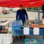 Check out a variety of vegetable at Curts Crops booth at the Sequim Farmers & Artisans Market through October. Submitted photo