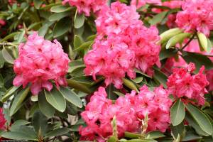 Photo by Sandy Cortez