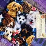 Check out DragonLady Handicrafts offers microwave baked potato sacks with pet-themed prints (above) and Old World Salves Old World Tail Saver (right), is a first aid tool for animal lovers, at the Sequim Farmers & Artisans Market. Photos by Emma Jane Garcia