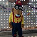 A masked Elroy the Elk greets youths at the Sequim Elks Lodges drive-thru Halloween event on Oct. 31. Submitted photo