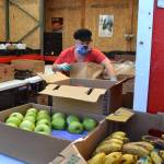 Melody Wilson, a volunteer with Sequim Community Church, packs a bag of produce for visitors of the Sequim Food Bank on Nov. 6. Previously, visitors would pick out their produce, but with a drive-thru now at the food bank due to health precautions, visitors receive a bag of produce. Sequim Gazette photo by Matthew Nash