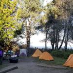 Members of Scouting BSA Troop 1498 enjoy a camping trip at the Dungeness Recreation Area this month. Scouts observe COVID-19 health guidelines by using single-person tents and avoiding eating together, local scout leaders say. Photo courtesy of Peter Craig