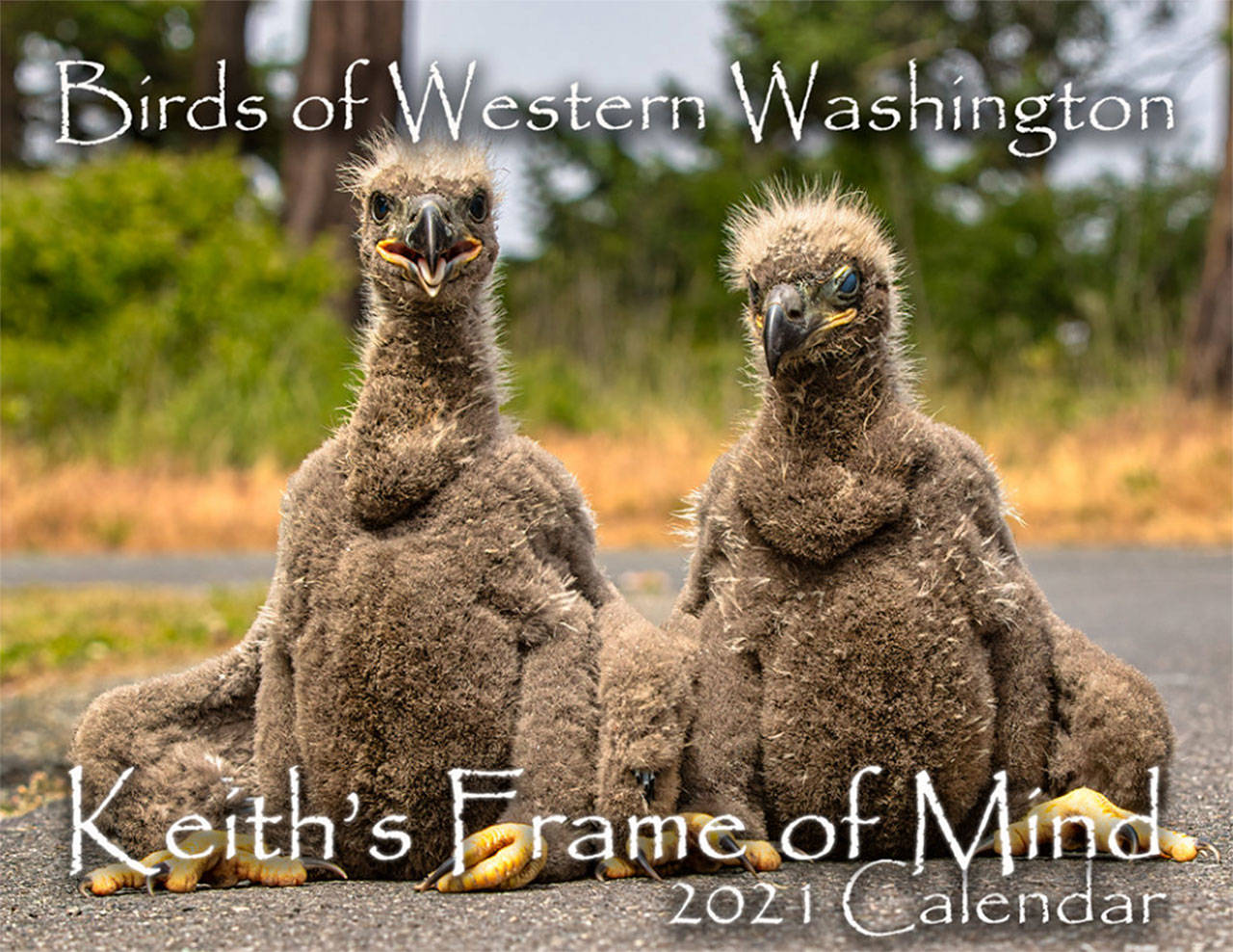 Keith Ross offers three calendars for 2021 including Birds of Western Washington at his website and at some local retailers in Sequim and Port Angeles. Photo courtesy of Keith Ross/Keiths Frame of Mind