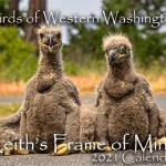 Keith Ross offers three calendars for 2021 including Birds of Western Washington at his website and at some local retailers in Sequim and Port Angeles. Photo courtesy of Keith Ross/Keiths Frame of Mind