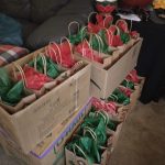 This year, Sequim freshman River Jensen bagged and sent out 575 care packs of toiletries and day-to-day items to local agencies. Photo courtesy of Anna Larsen
