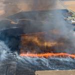 Jordan Van Delden, a wildfire and forest health specialist for the Washington Department of Natural Resources, will talk about firewise landscaping at the next Green Thumb Garden Tip education series, set for Jan. 28 on Zoom. Photo courtesy of Washington State University-Clallam County Extension