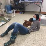 Lauren Ross, a lifesaving specialist at the Best Friends Animal Society animal sanctuary in Kanab, Utah, enjoys some time with Polly Pocket, a lap chicken. Polly came to the sanctuary from The Farm in Sequim in January. Photo courtesy of Best Friends Animal Society