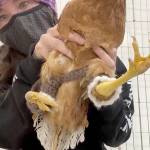 Lauren Ross, a lifesaving specialist at the Best Friends Animal Society animal sanctuary in Kanab, Utah, shows off Polly Pockets crocheted pants.