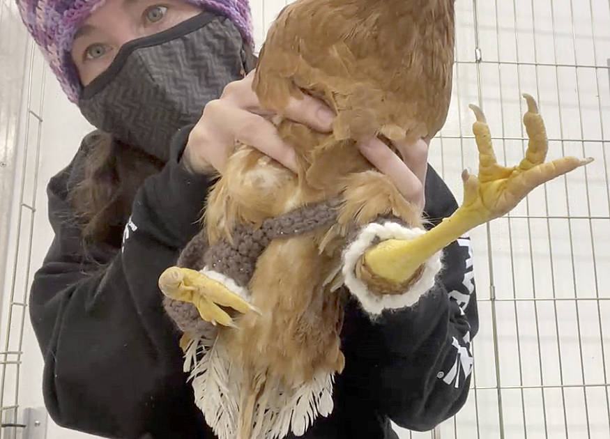Lauren Ross, a lifesaving specialist at the Best Friends Animal Society animal sanctuary in Kanab, Utah, shows off Polly Pockets crocheted pants.