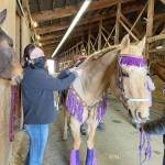 Rainey Bronsink helps the drill team get ready to compete at the Sequim Equestrian Teams first district meet in late February. Submitted photo
