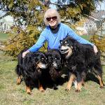 Since 2005, Sequims Hope Stime has cared for a family of dogs starting with Sweetie Pie she adopted from Louisiana following Hurricane Katrina. Stime believes that in 2008 she adopted Sweetie Pies puppy, Sweetie Bear, pictured in middle, and two grand-puppies Lucy, left, and Ella, right, from the same area years apart. Sequim Gazette photo by Matthew Nash