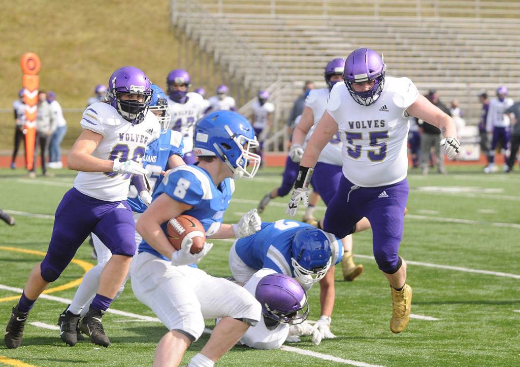 Sequims Faas Christianson, left, and Brandon Barnett try to track down Olympic running back Trent Feistner in the Wolves 21-12 loss at Olympic on March 13. Sequim Gazette photo by Michael Dashiell