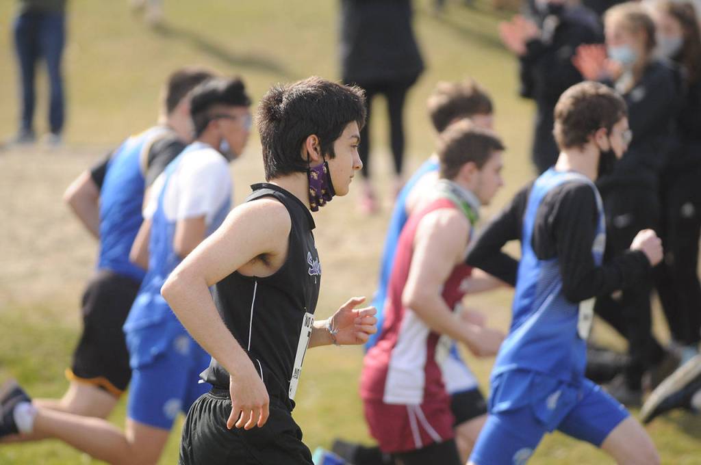 Sequim High junior Zack Gufler races in the Olympic League championship race on March 13 at Battle Point Park on Bainbridge Island. Sequim Gazette photo by Michael Dashiell