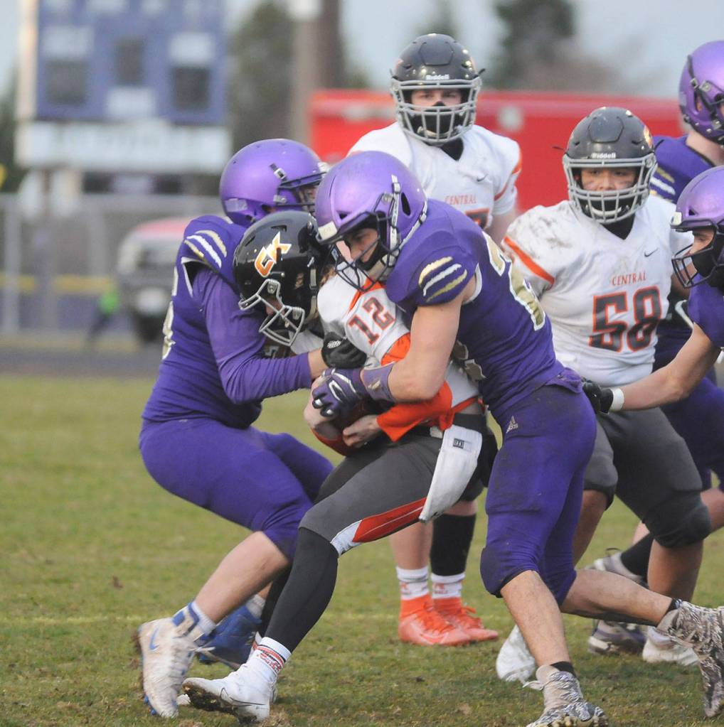 Sequims Faas Christiansen, left, and Walker Ward sandwich Central Kitsaps Ryder Wright during the Wolves 38-22 win over the Cougars. Sequim Gazette photo by Michael Dashiell