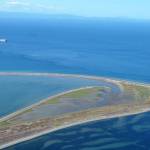 Two-three staff at the Washington National Wildlife Refuge will set traps for European green crab in April and May along the Dungeness Spit and potentially bring in volunteers as they are able with safety guidelines in place and government restrictions lifted due to COVID-19 protocols. Sequim Gazette photo file photo by Matthew Nash