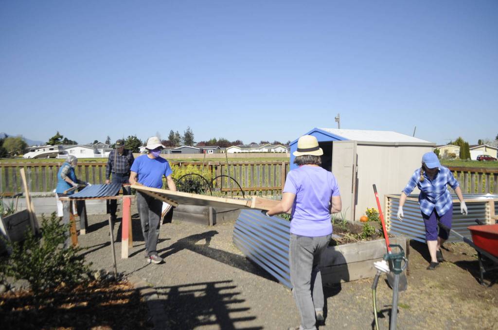 Gardeners, from left, Sue Scott, Bob Caldwell, John Anzalotti, Joanne White and Jaimi Primrose work together to build one of five new raised beds at the Fir Street Community Garden on Saturday. Sequim Gazette photo by Matthew Nash