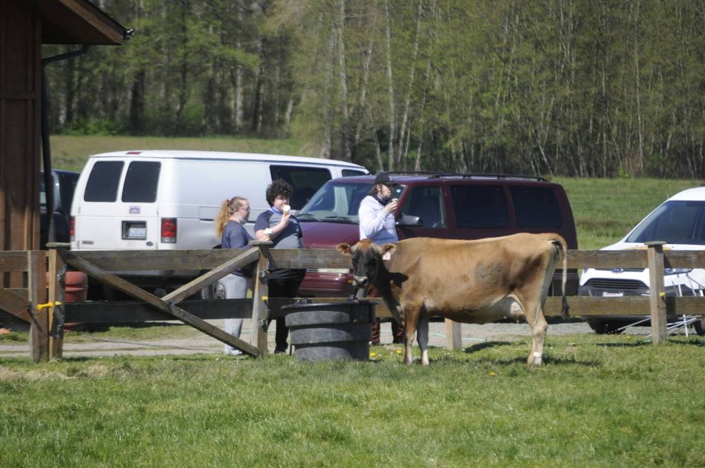 During an excursion, Candace Makela, Ciaran Makela, and Geran Voss eat ice cream while watching the sites at Dungeness Valley Creamery. Sequim Gazette photo by Matthew Nash