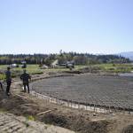A new, above-ground, self-contained liquid manure pond is set to finish this month and reduce odor at Dungeness Valley Creamery, owners Ryan and Sarah McCarthey said. Sequim Gazette photo by Matthew Nash