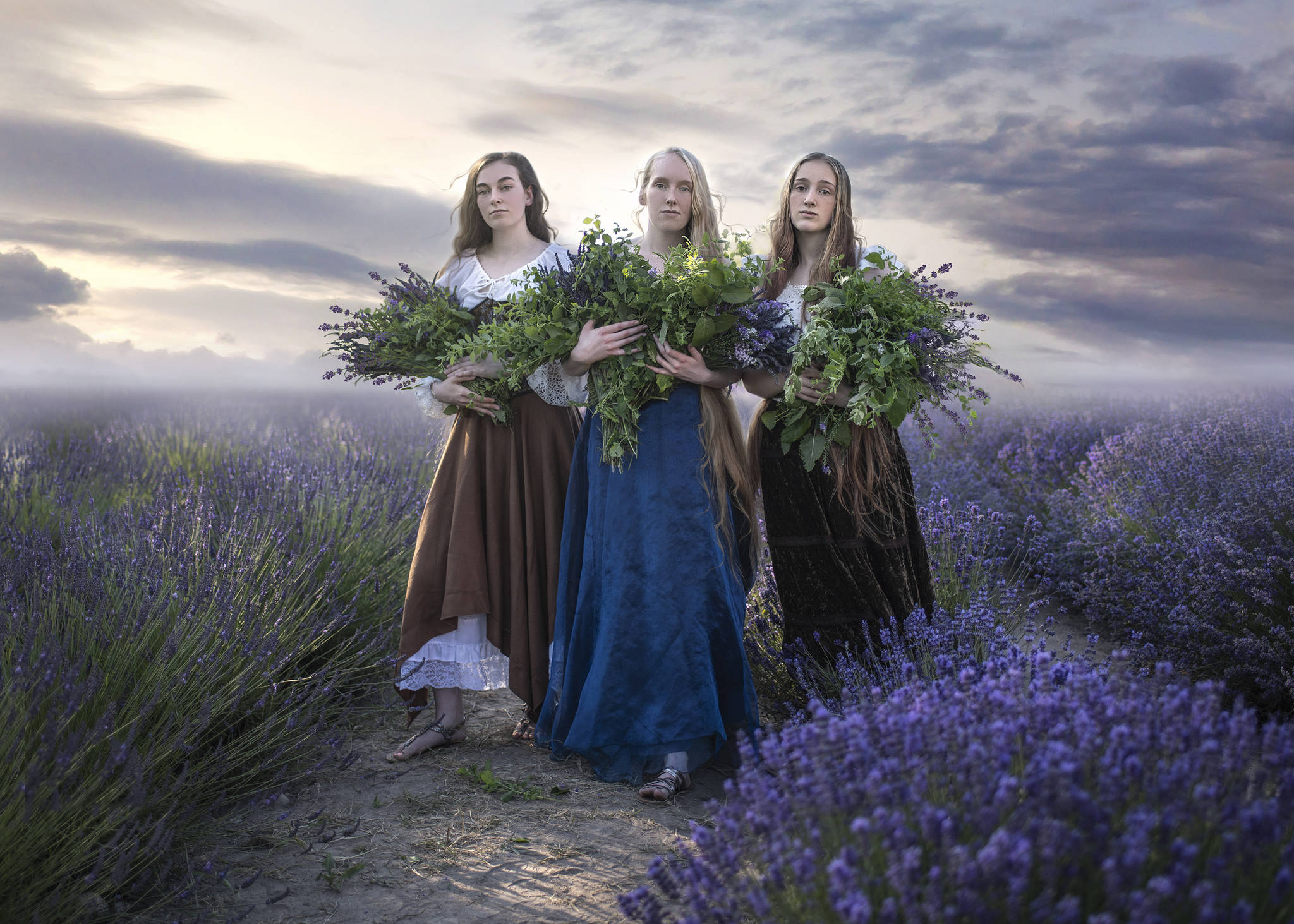Lavender Afternoon is one of the photo stories Sequim artist and educator Marina Shipova has created through her work. She was chosen as the Art Fellow for the City of Sequims Sequim Understory project to help convey Sequims story to residents. Photo courtesy of Marina Shipova