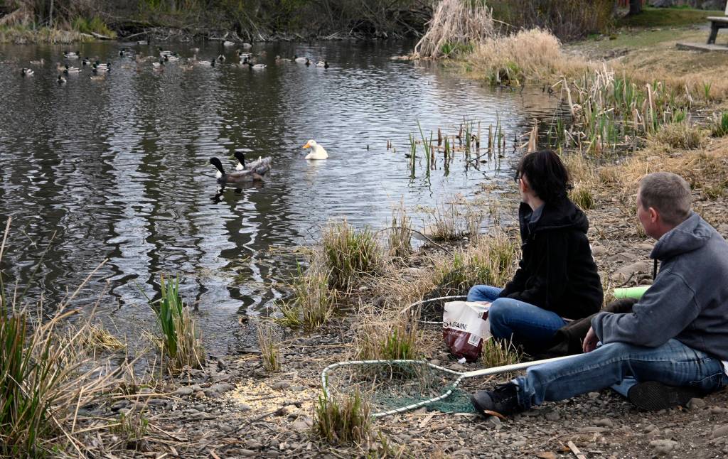 Kristen/Shayna Robnett of Lilly's Safe Haven at Carrie Blake Community Park on April 7.
Sequim Gazette photo by Michael Dashiell