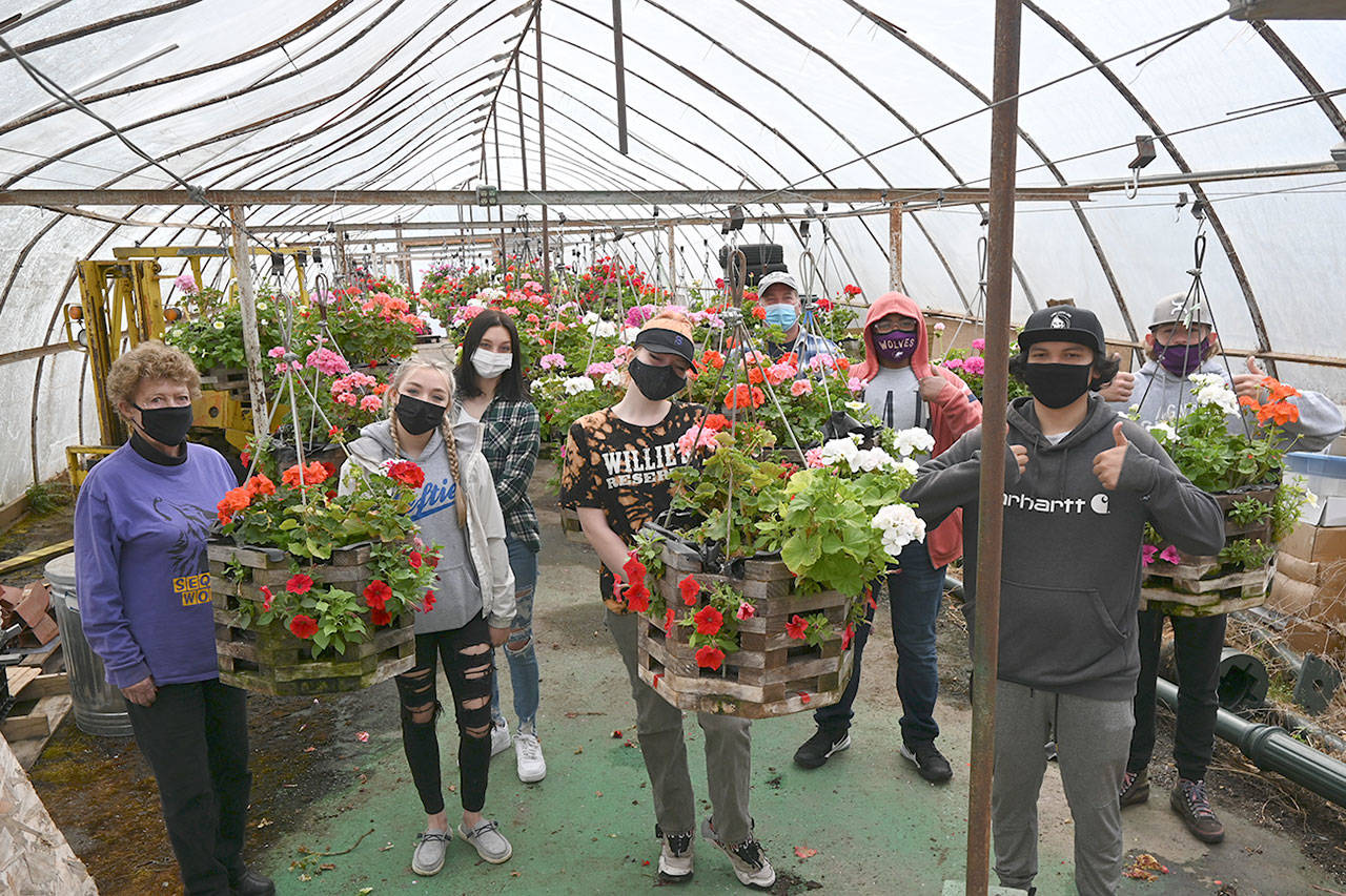 Sequim High students proudly display their flower baskets that hit city streets on June 1. Pictured, from left, are city flower basket program coordinator Emily Westcott, Susannah Sharp, Emma Sharp, Roslyn Guile, SHS agriculture teacher Bill McFarlen, Jayden Aiken, Guillermo Aguilar and Weston Opdyke. Sequim Gazette photo by Michael Dashiell