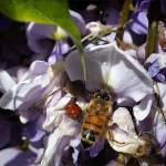 Photo courtesy of LeeAnn Nolan