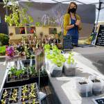 Courtney Thomas and Naive Melody Front Yard Farm offer edible, weird stuff that one might not find in the grocery store. Photo by Emma Jane EJ Garcia