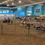 Sequim’s Keri Tucker (on Nikki), left, and Libby Swanberg (on Cletus) compete in cattle sorting at the third district meet of the season. Submitted photo