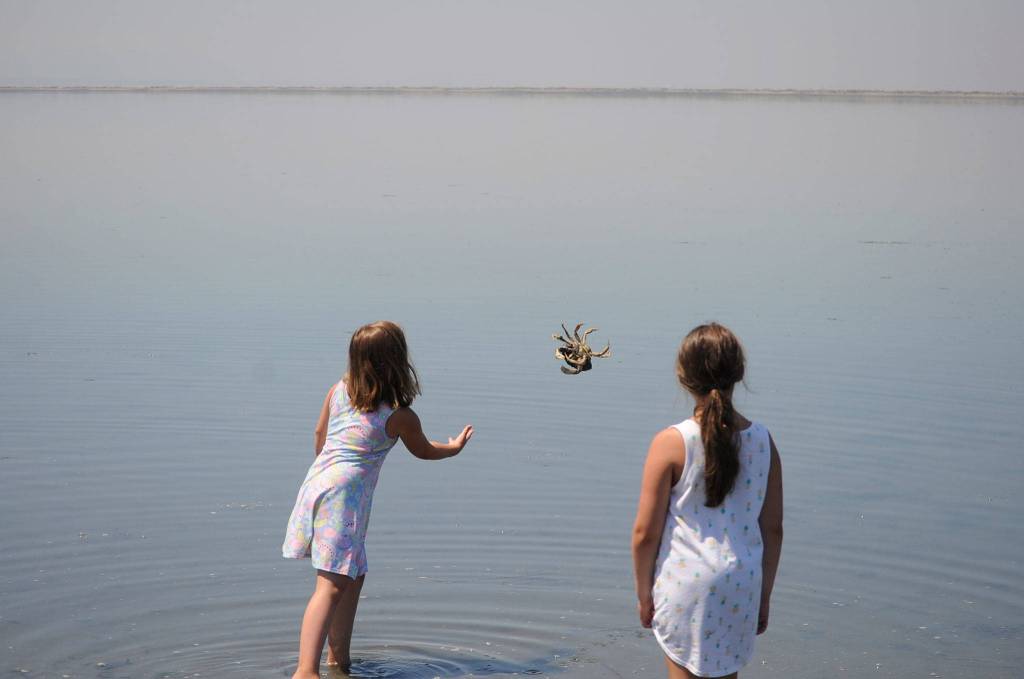 Chenelle Stark, 8, throws a dead Dungeness crab she found in Cline Spit as her sister Kieryn Stark, 10, watches. Sequim Gazette photo by Matthew Nash