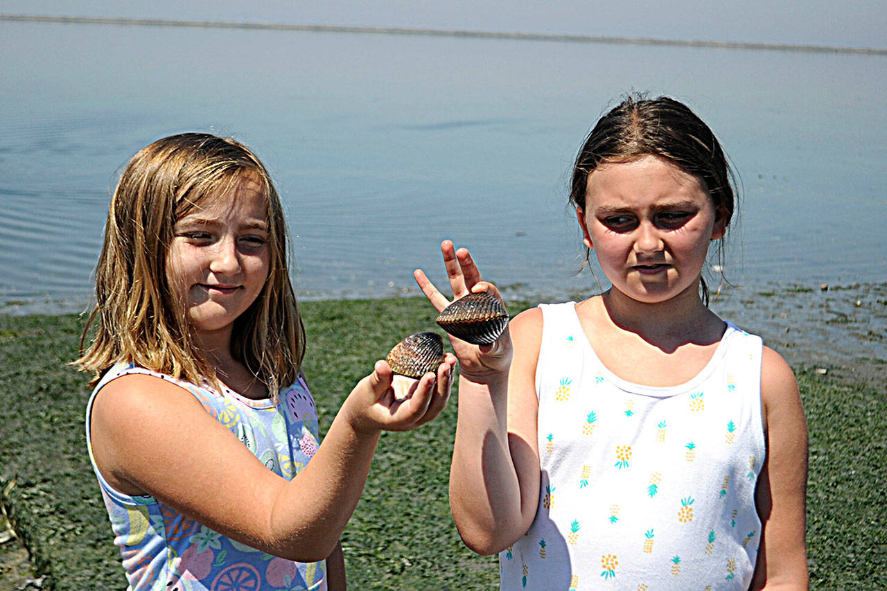 Sisters Chenelle, 8, and Kieryn, 10, Stark hold clams that Chenelle found exploring Cline Spit while cooling off on June 26. They were visiting grandma Wanda Meema Stark for the day. Sequim Gazette photo by Matthew Nash