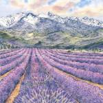 All Rows Olympics by Julie Senf, a presenting artist at the Blue Whole Gallerys Thank You to the Community exhibit in June. Submitted art