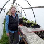 Join local gardener Selinda Barkhuis as she shares her knowledge of gardening in the highly hard-scaped urban environment in Port Angeles on June 10 via Zoom. Submitted photo