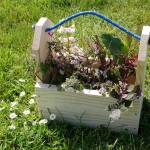 The North Olympic Library System offers planter box kits designed for youths of ages 4-12 to build with adults. Photo courtesy of North Olympic Library System