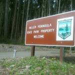 Washington State Parks look to create a master plan for development of Miller Peninsula as the next destination state park. Sequim Gazette file photo by Michael Dashiell