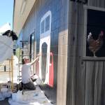Andy Eccleshall of Edmonds works on a depiction of a 1937 AUTOCAR last week as part of his mural depicting some elements of Sequims dairy farming history. I was getting constant thumbs up and thanks, he said. Sequim Gazette photo by Matthew Nash