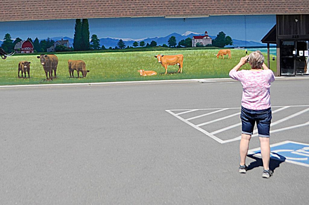 Marla Timmons of Port Angeles takes a photo of the new mural in downtown Sequim. She visited the shop earlier in the day and returned later on June 24 to show her husband Bob Fermanis. Sequim Gazette photo by Matthew Nash