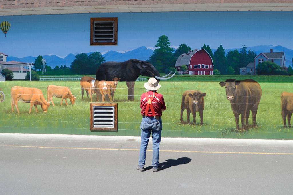 Bob Fermanis of Port Angeles admires the new mural at A Stitch in Time Quilt Shoppe last week as artist Andy Eccleshall works to finish a depiction of a 1937 AUTOCAR.