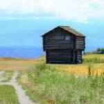 The Ebeys Landing hike near Coupeville, one of 44 outings in Hiking Washingtons History, crosses Ebeys Prairie to pass the 166-year-old blockhouse built by Jacob Ebey. Photo by Diane Urbani de la Paz/Olympic Peninsula News Group