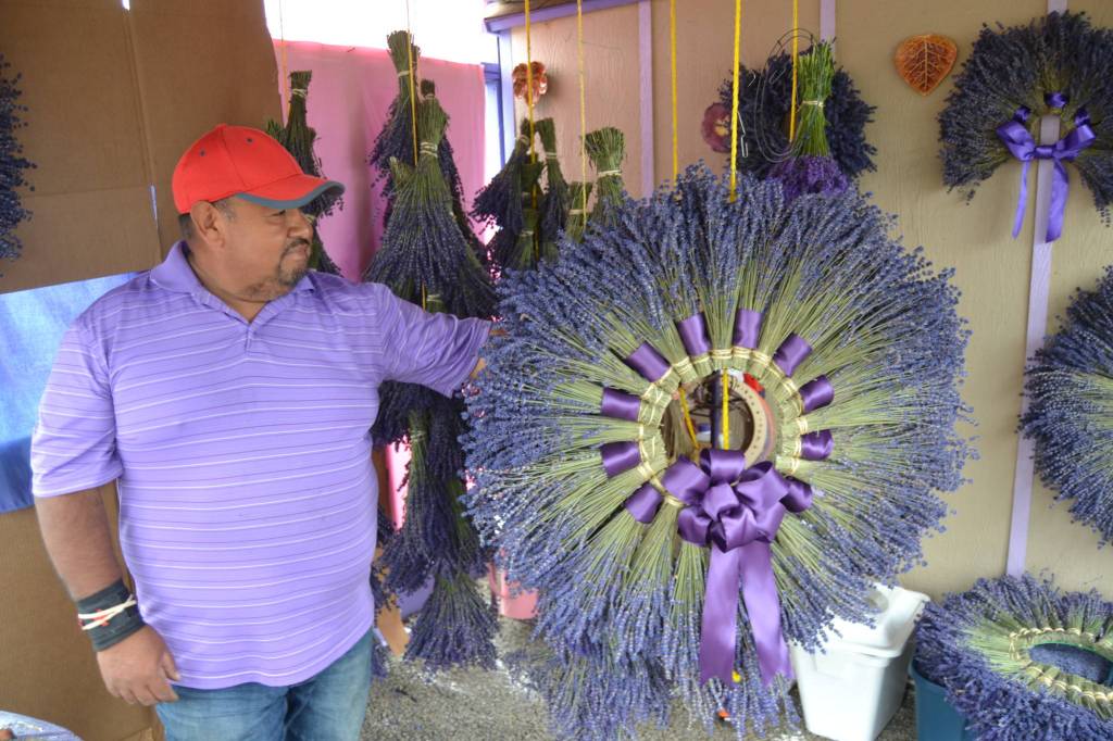 Sergio Gonzalez stands with one of the wreaths he made for a customer from lavender in his field at Melis Lavender Farm. He hopes visitors will find his farm off Old Olympic Highway this summer as COVID-19 greatly impacted his sales in 2020, he said. Sequim Gazette file photos by Matthew Nash