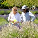 Anne McGarvey and Ian Garcia of Seattle admire some lavender at Fleurish of Lost Mountain on July 18 as part of their trek for the first time to the Olympic Peninsula. Garcia said they heard mid-July was the time to come and they visited multiple farms on Sunday. Sequim Gazette photo by Matthew Nash