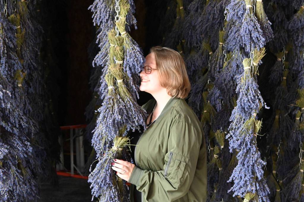 Hailee Williams of Puyallup enjoys the smell of drying lavender at B&B Family Farm Friday afternoon. She said shes been coming to Sequim for lavender festivities for the past 15 years. Wouldnt skip it for anything, she said. Sequim Gazette photo by Michael Dashiell
