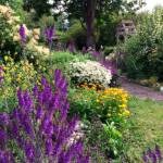 Photo by Cathy Wagner