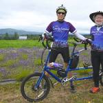 Robert and Linda Kanter from Seattle enjoy the view at Rainshadow Lavender Saturday afternoon. The Kanters joined a group of seven tandem riders from the Puget Sound area. Sequim Gazette photo by Michael Dashiell
